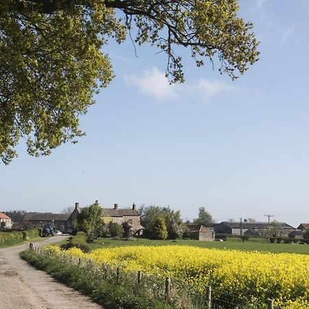 Mallard Grange B&B Ripon Kültér fotó