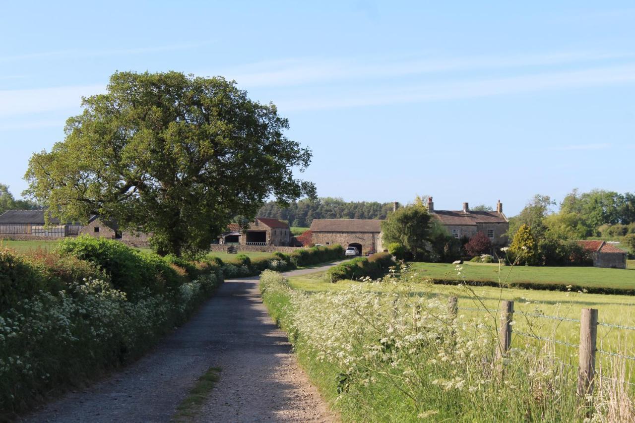 Mallard Grange B&B Ripon Kültér fotó
